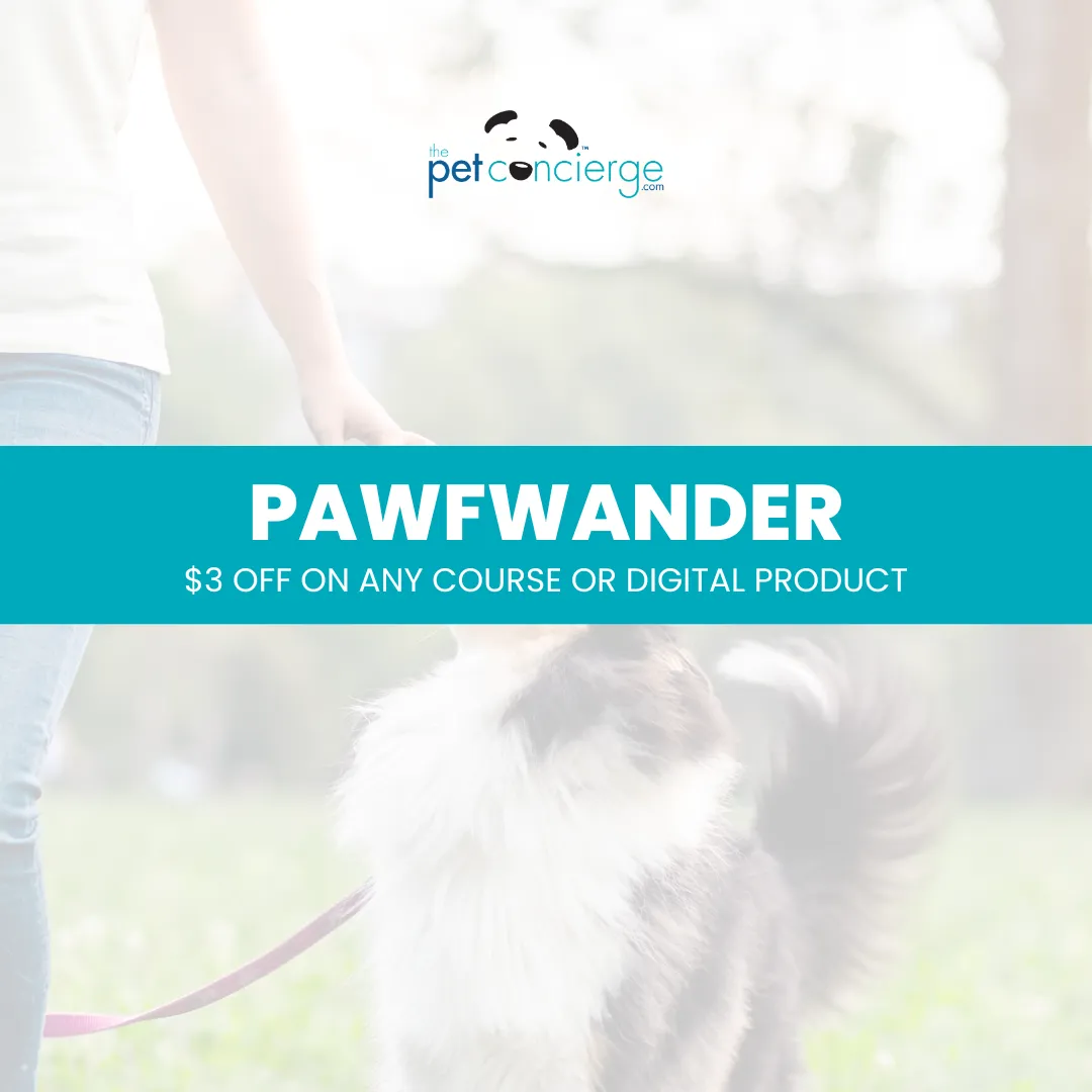 National Dog Walker Appreciation Day
