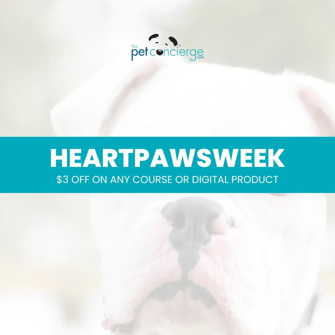 National Dog Walker Appreciation Day