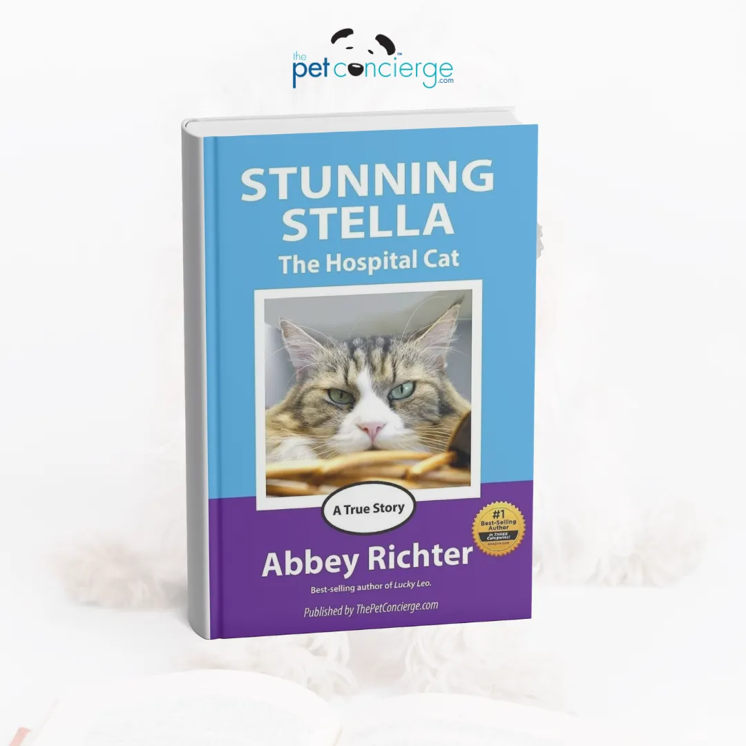 Stunning Stella, by Abbey Richter