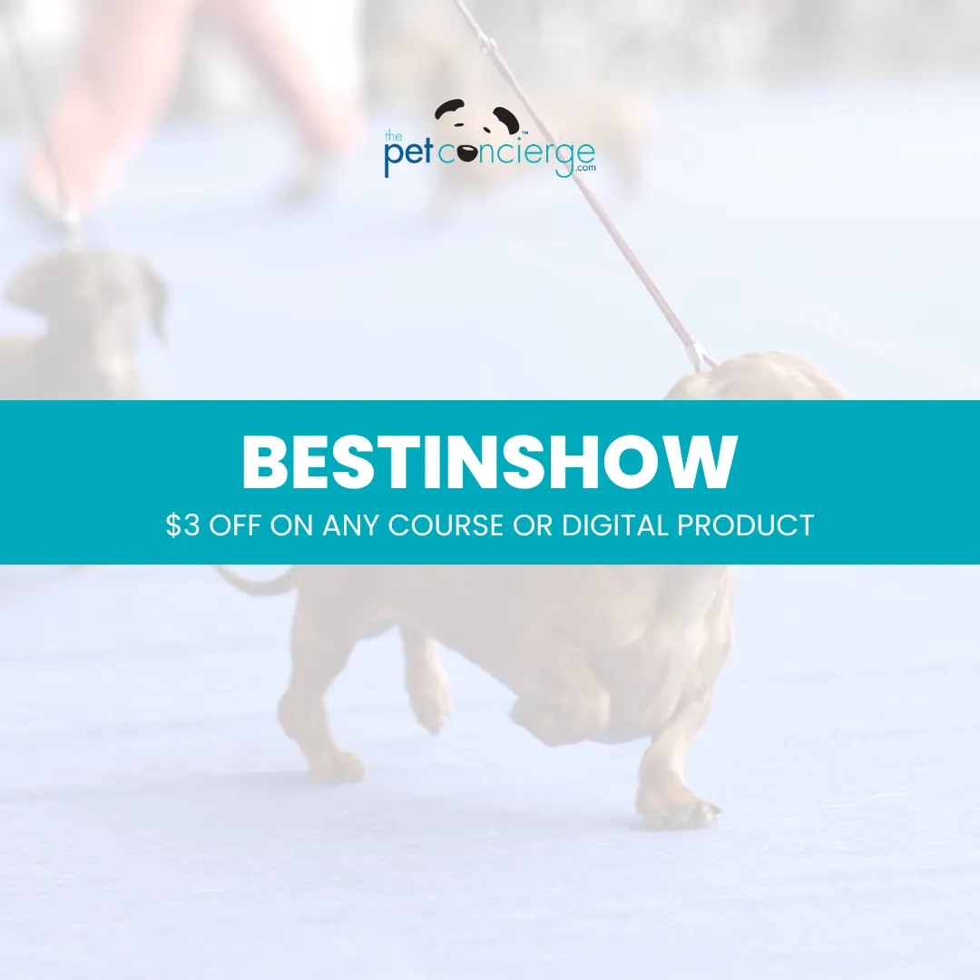 National Dog Show Broadcast