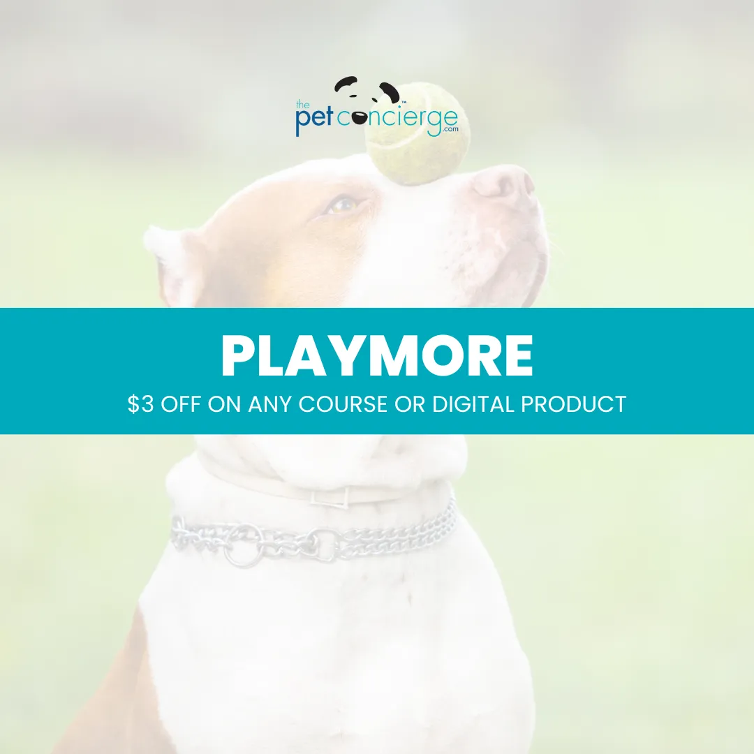 World Animal Enrichment Day