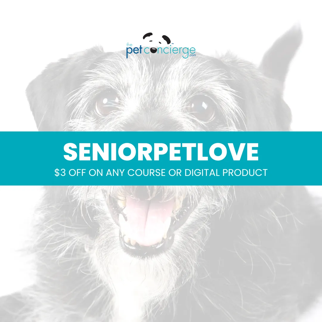 Adopt a Senior Pet Month