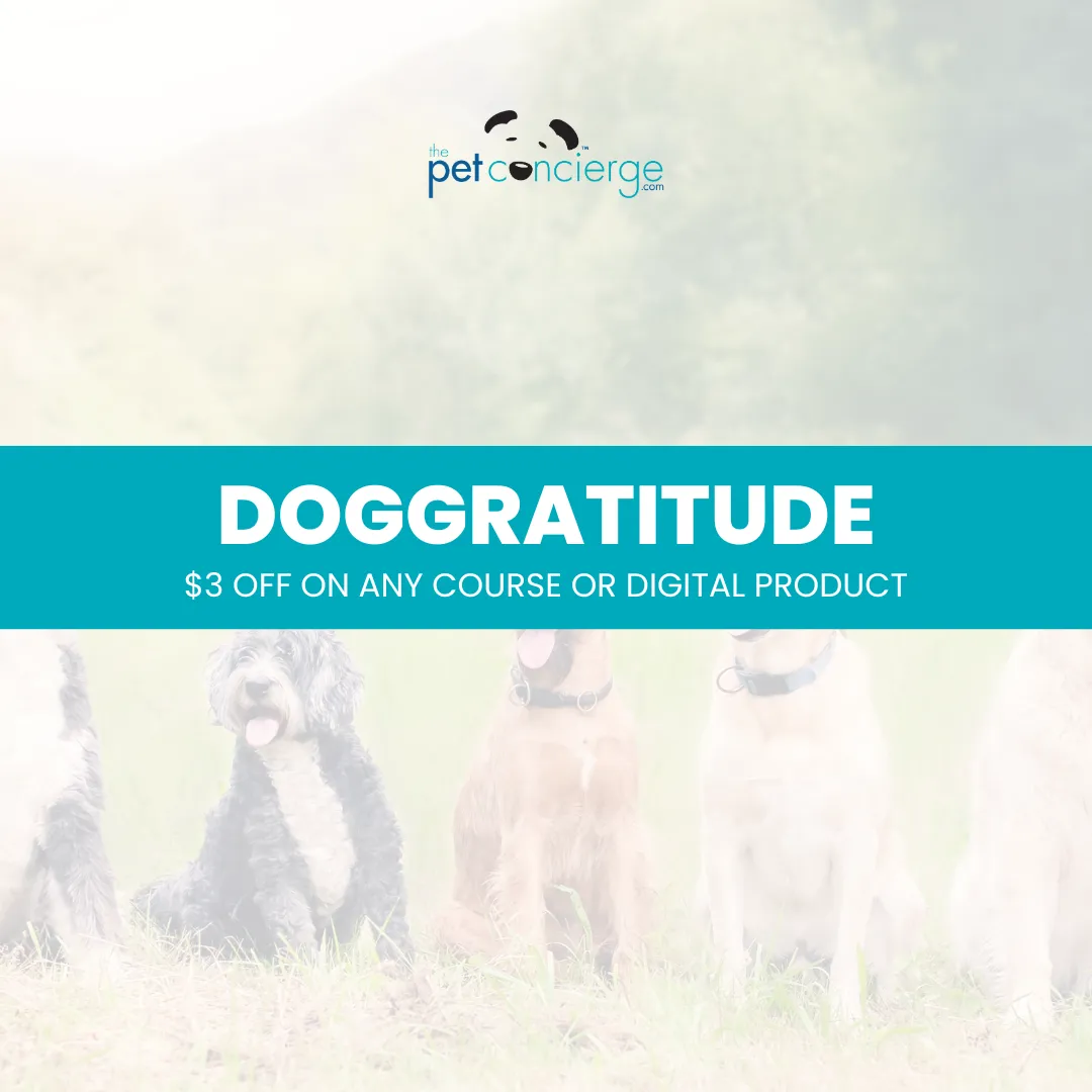 Thankful for My Dog Day