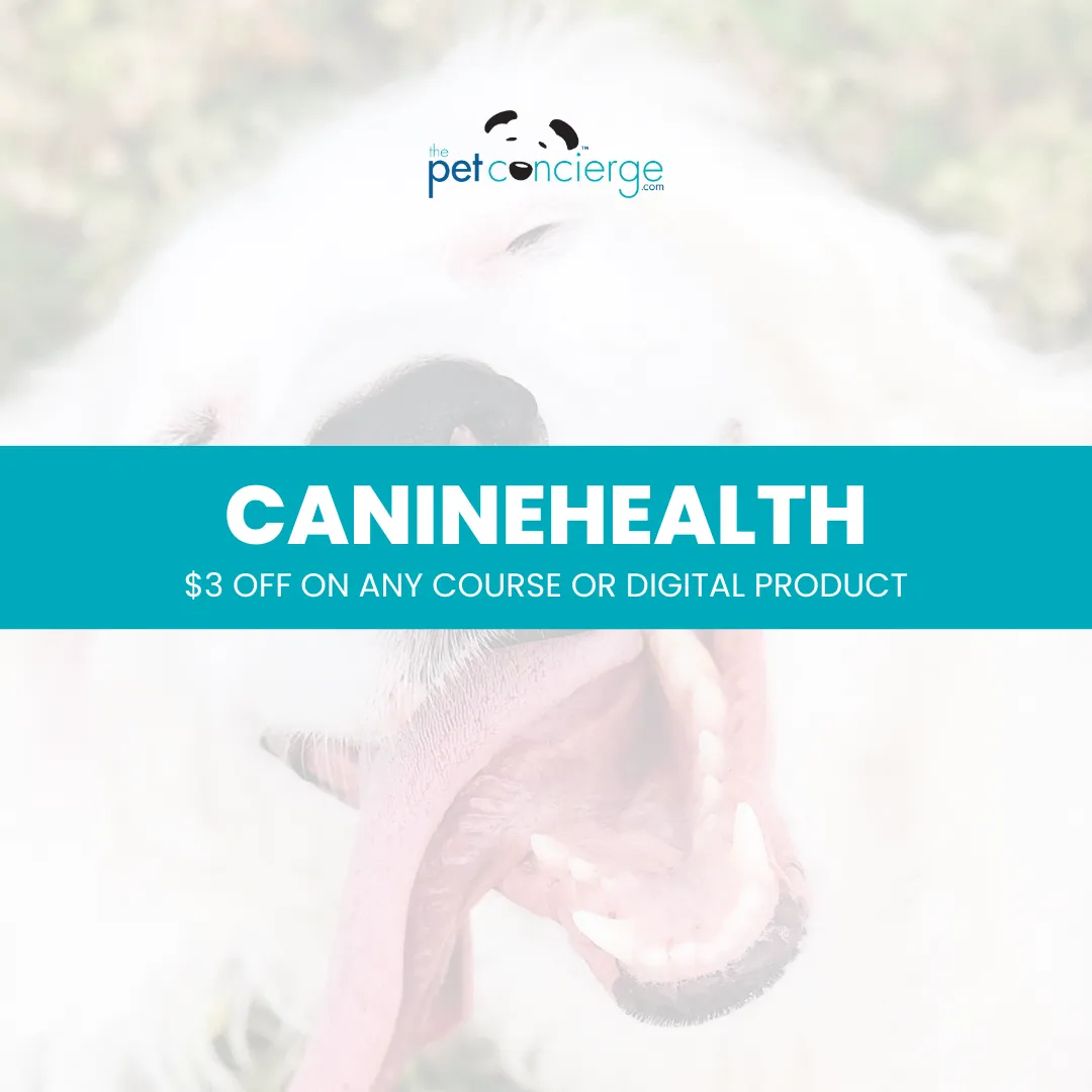 National Canine Lymphoma Awareness Day