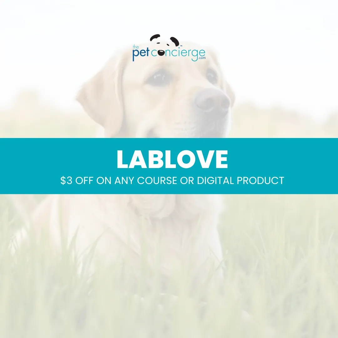 National Labrador Retriever Day