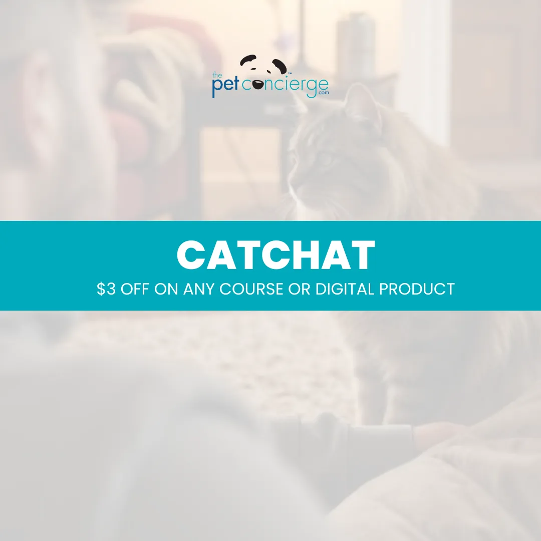 National Answer Your Cat’s Question Day