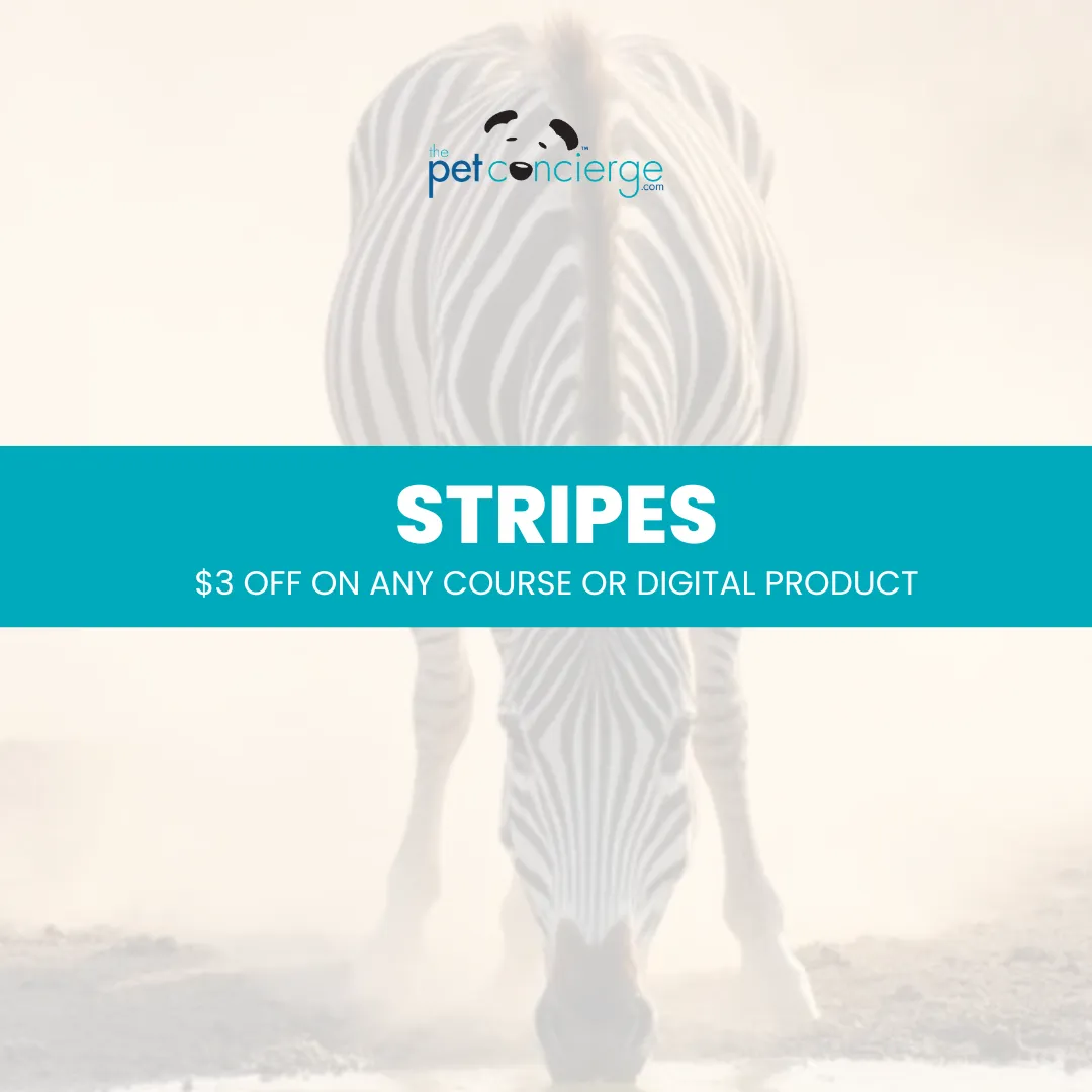 International Zebra Day