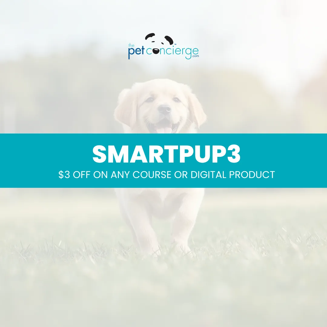 National Train Your Dog Month