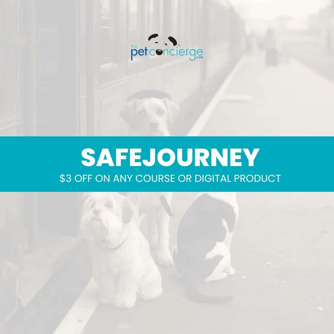 National Pet Travel Safety Day