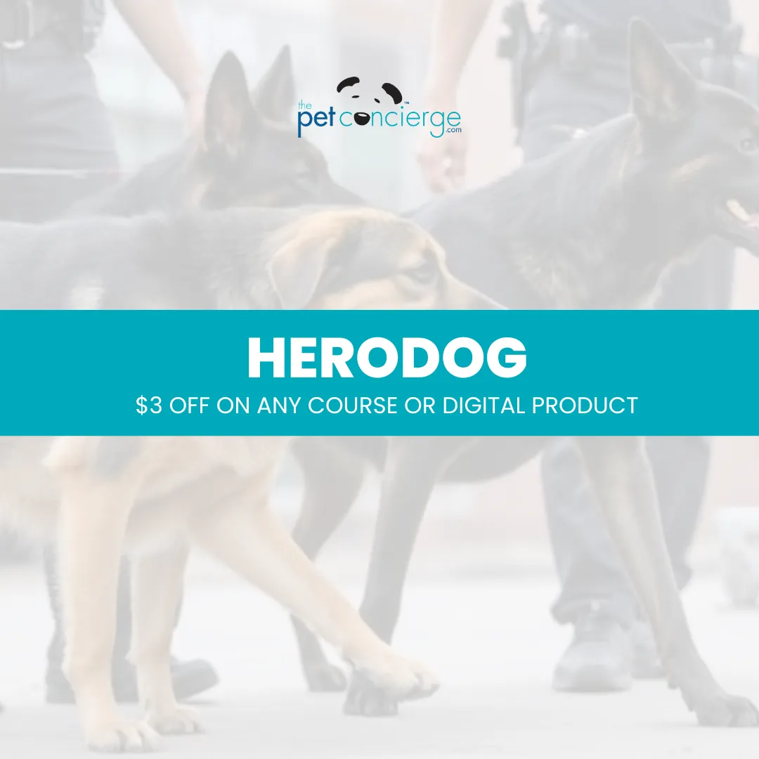 National Conservation Dog Day