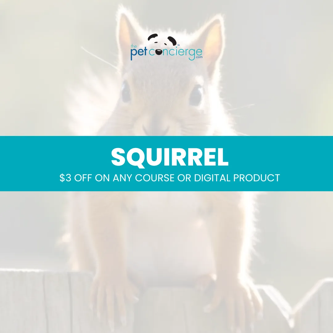 Squirrel Appreciation Day