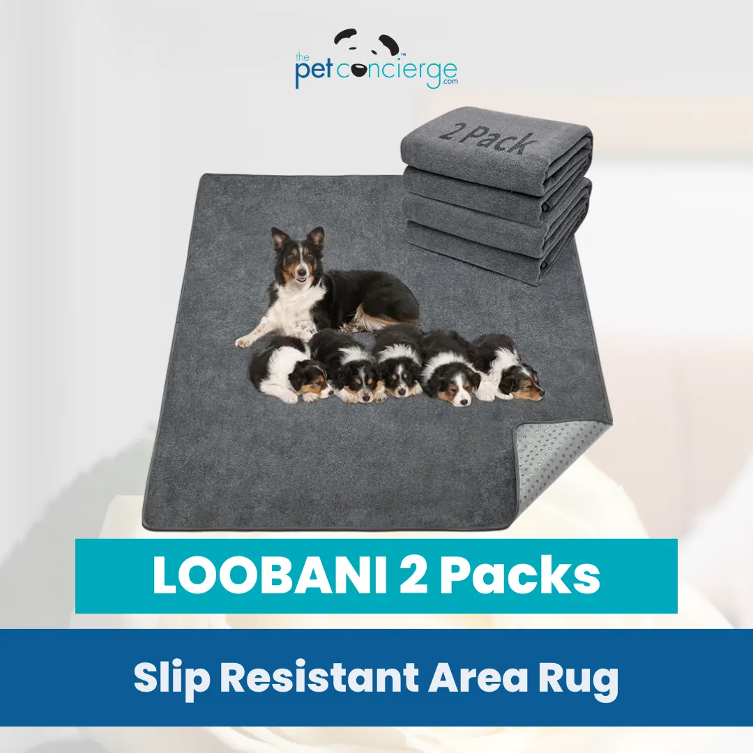 LOOBANI 2 Packs Extra Large Reusable Dog Mat