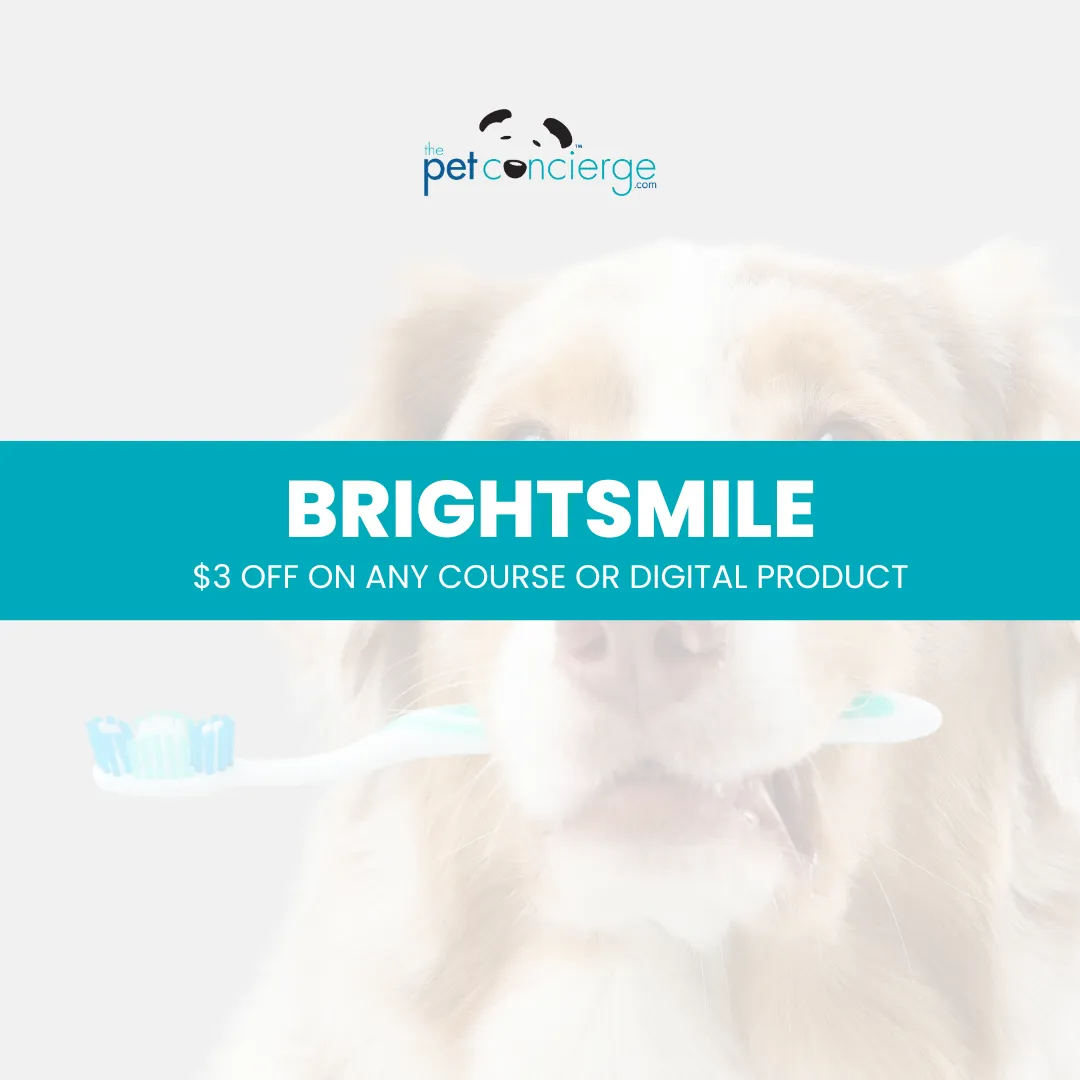 National Pet Dental Health Month