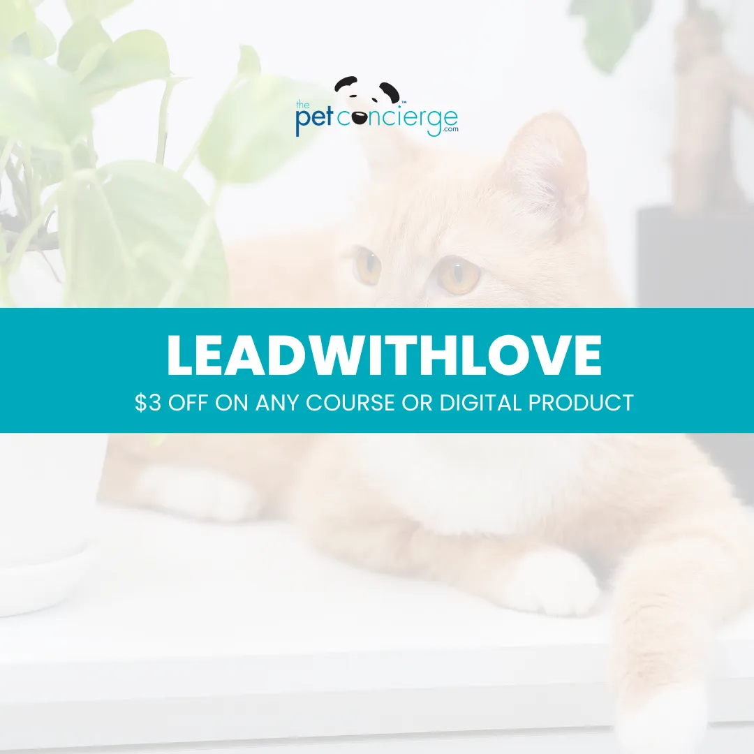 International Women's Day