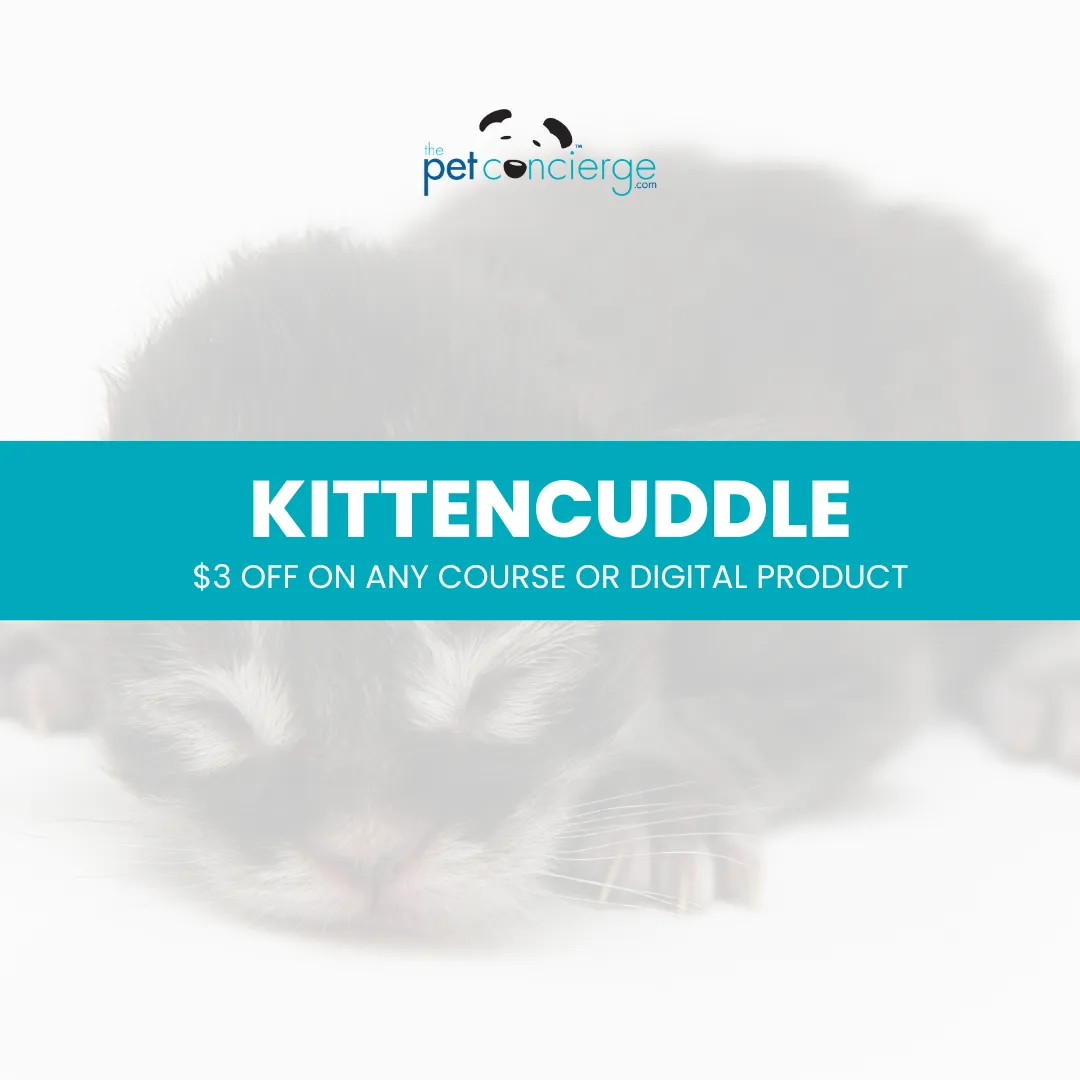 Cuddly Kitten Day