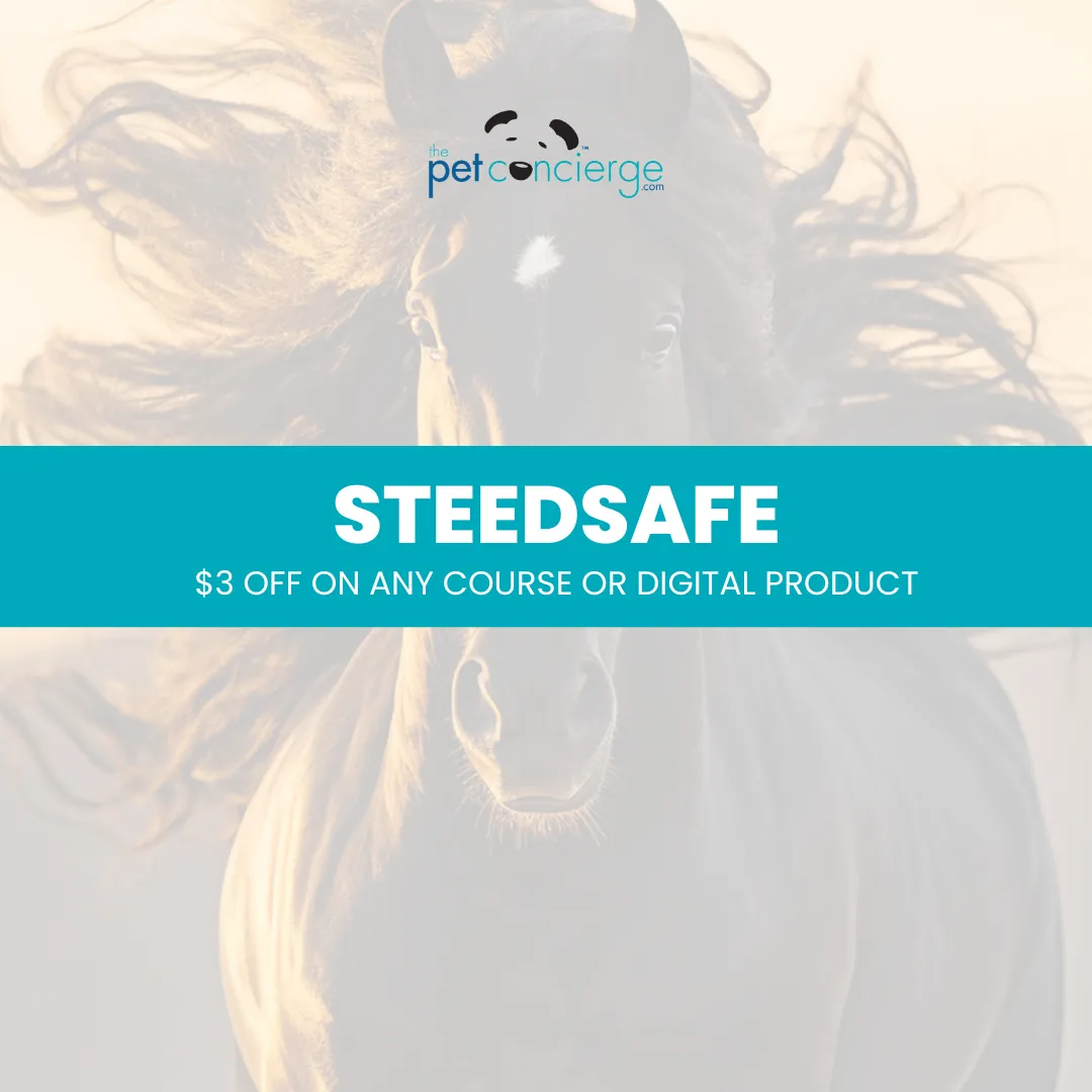 National Horse Protection Day