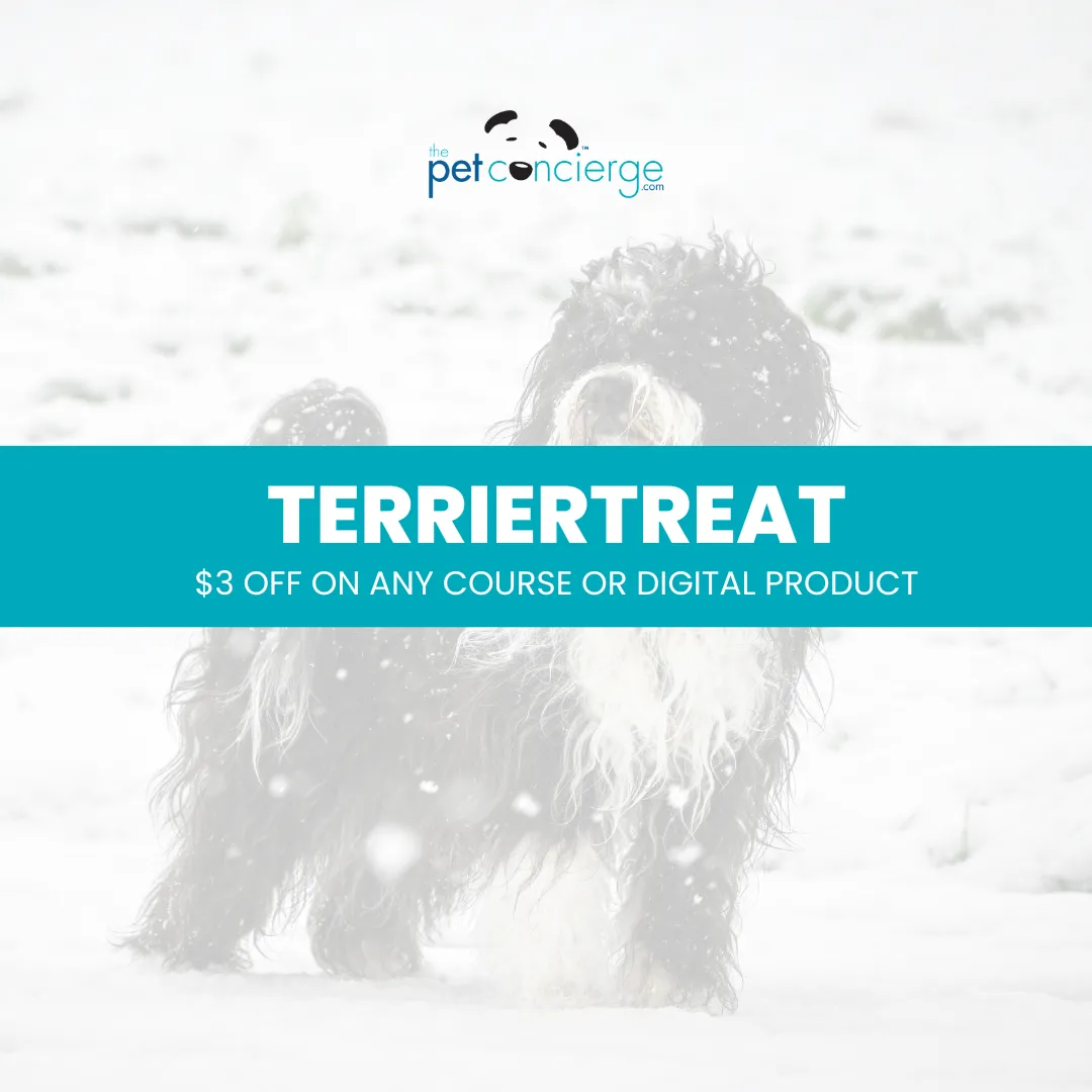 National Terrier Day