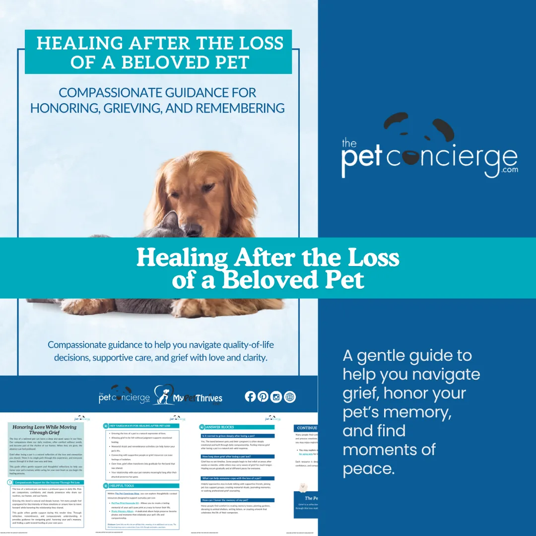 Pet: A Gentle Guide Through Grief