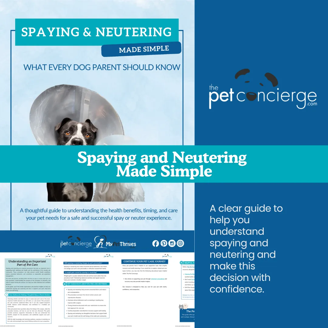 Spaying and Neutering Made Simple: What Every Pet Parent Should Know