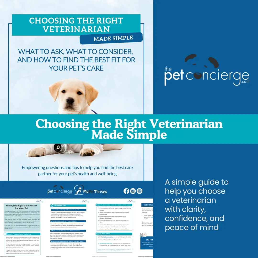 Choosing the Right Veterinarian Made Simple:   What Pet Parents Should Look For