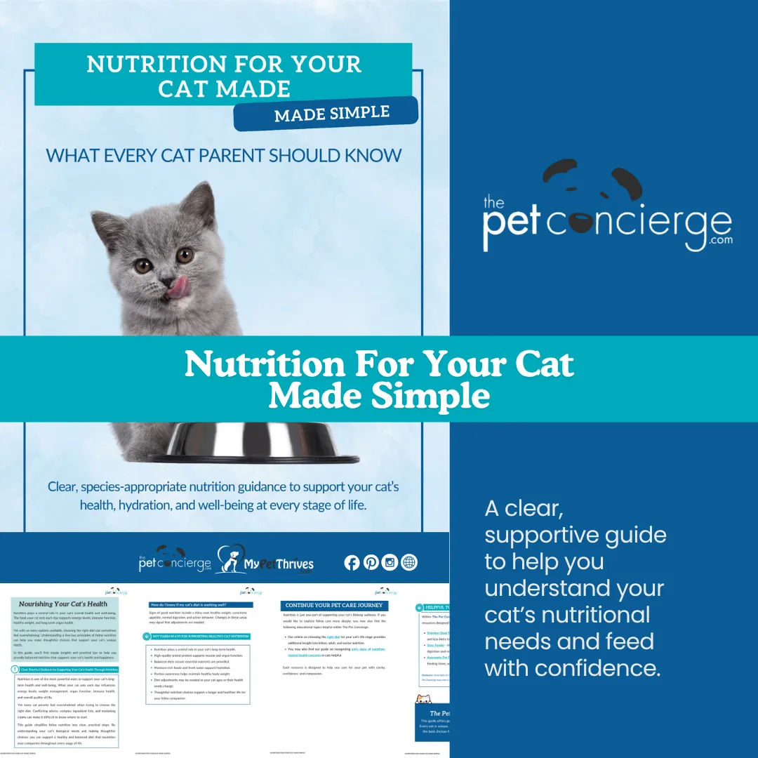Nutrition for Your Cat Made Simple: What Every Cat Parent Should Know