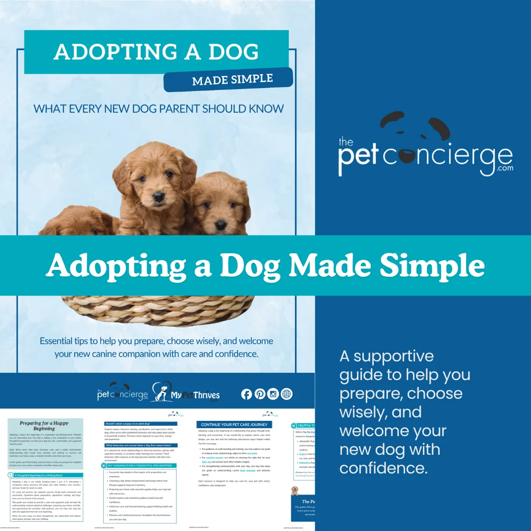 Adopting a Dog Made Simple: What Every New Dog Parent Should Know