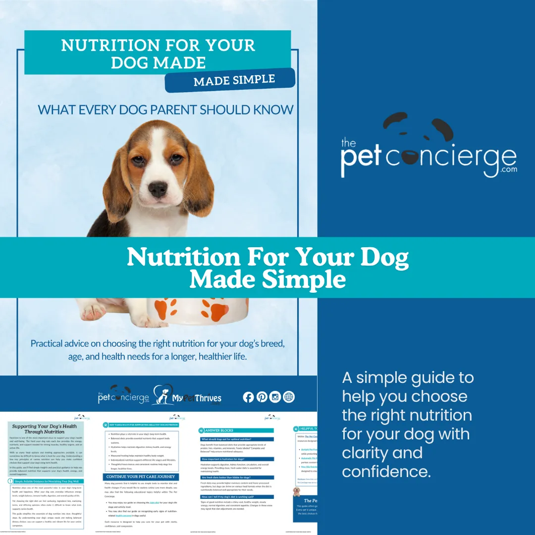 Nutrition For Your Dog Made Simple: What Every Dog Parent Should Know