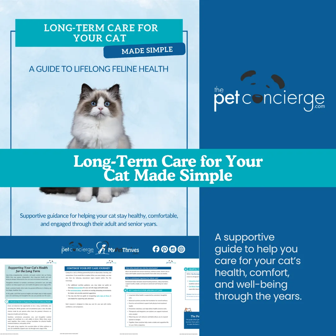 Long-Term Care for Your Cat Made Simple: A Guide to Lifelong Feline Health