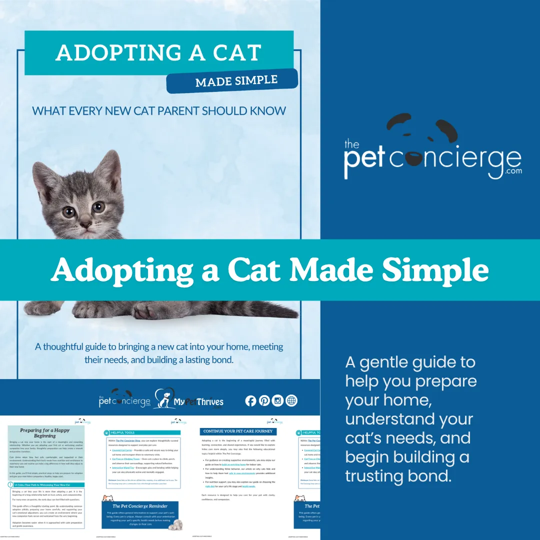 Adopting a Cat Made Simple: What Every New Cat Parent Should Know