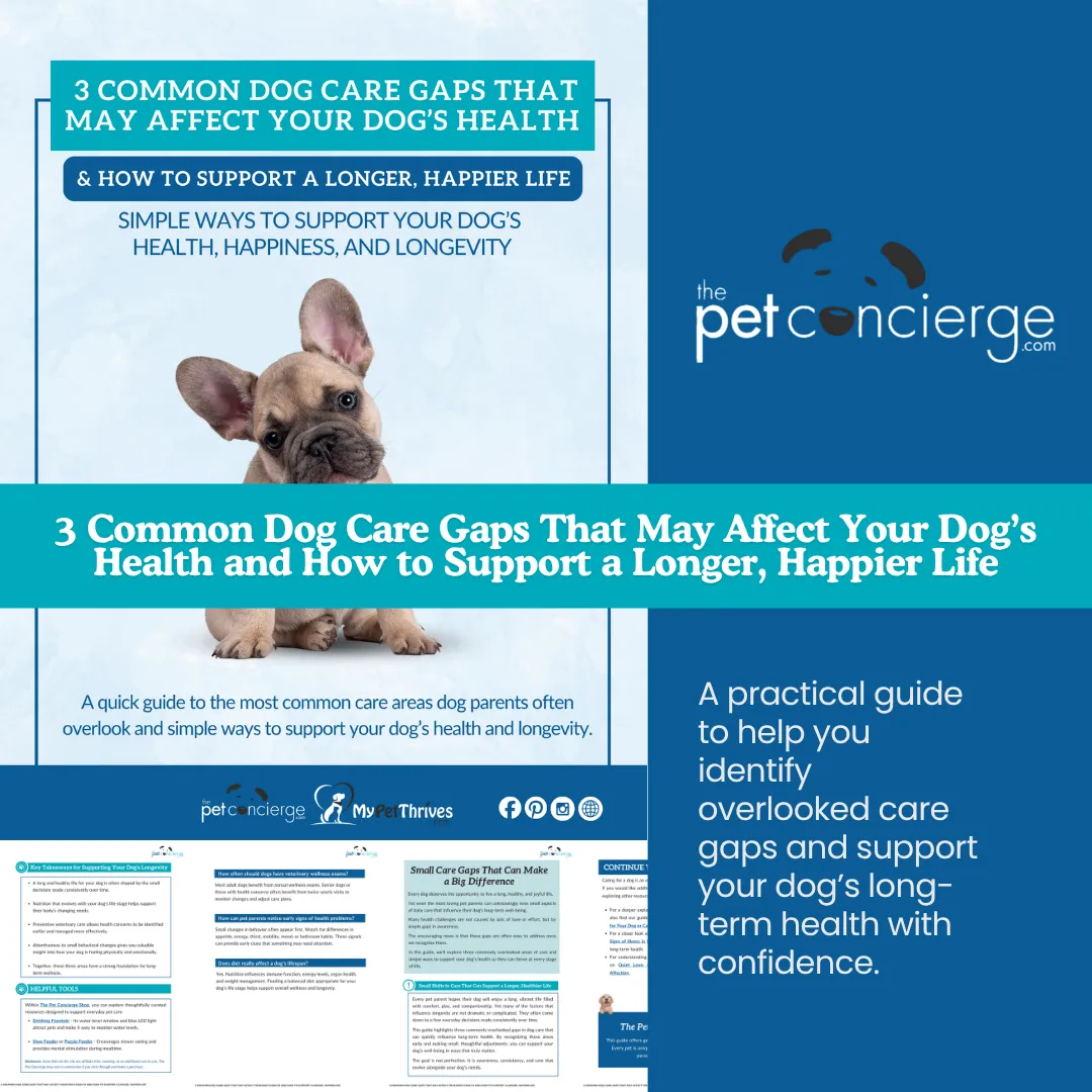 3 Common Dog Care Gaps That May Affect Your Dog’s Health and How to Support a Longer, Happier Life