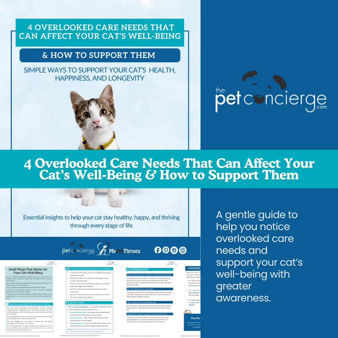 4 Overlooked Care Needs That Can Affect Your Cat’s Well-Being  and How to Support Them