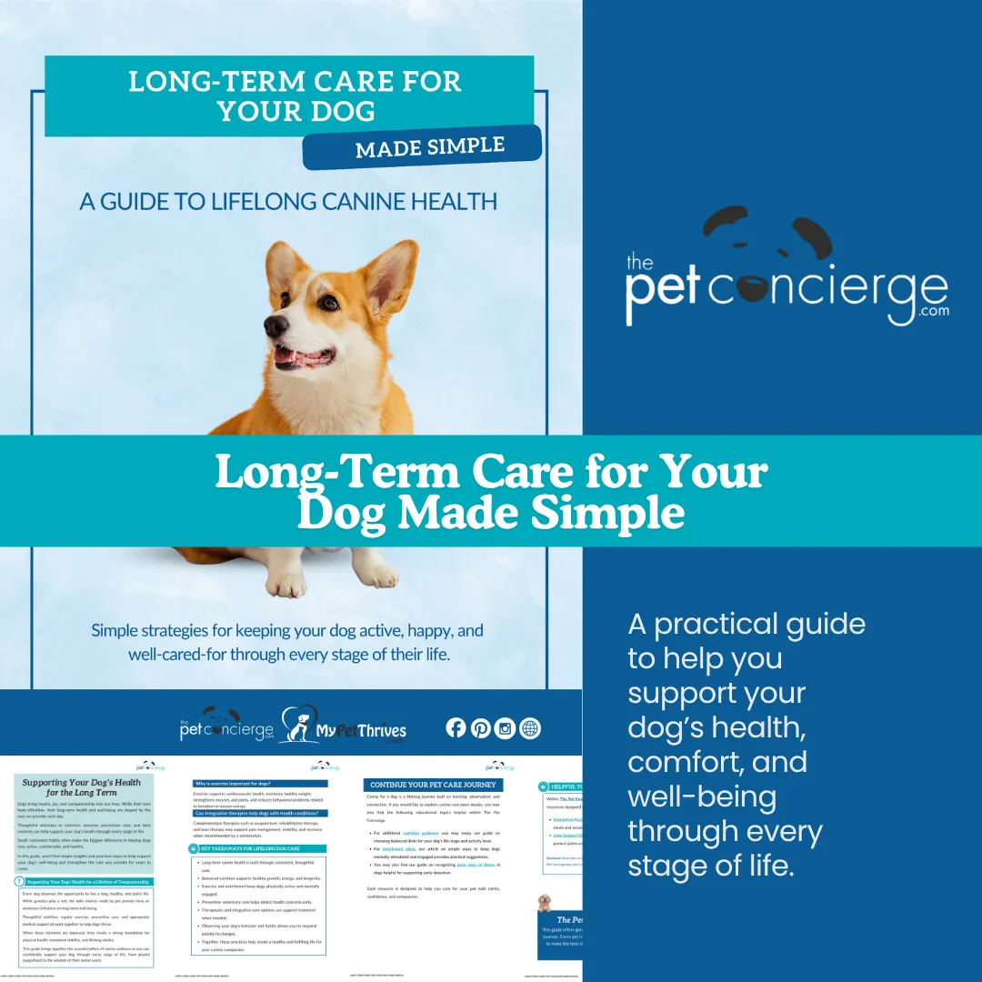 Long-Term Care for Your Dog Made Simple: A Guide to Lifelong Canine Health