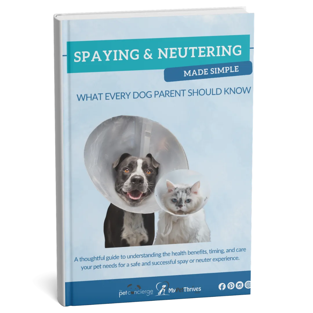 Spaying and Neutering Made Simple: What Every Pet Parent Should Know