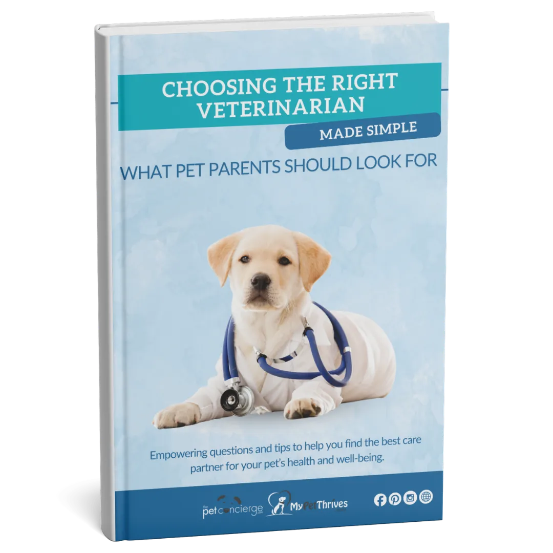 Choosing the Right Veterinarian Made Simple: What Pet Parents Should Look For