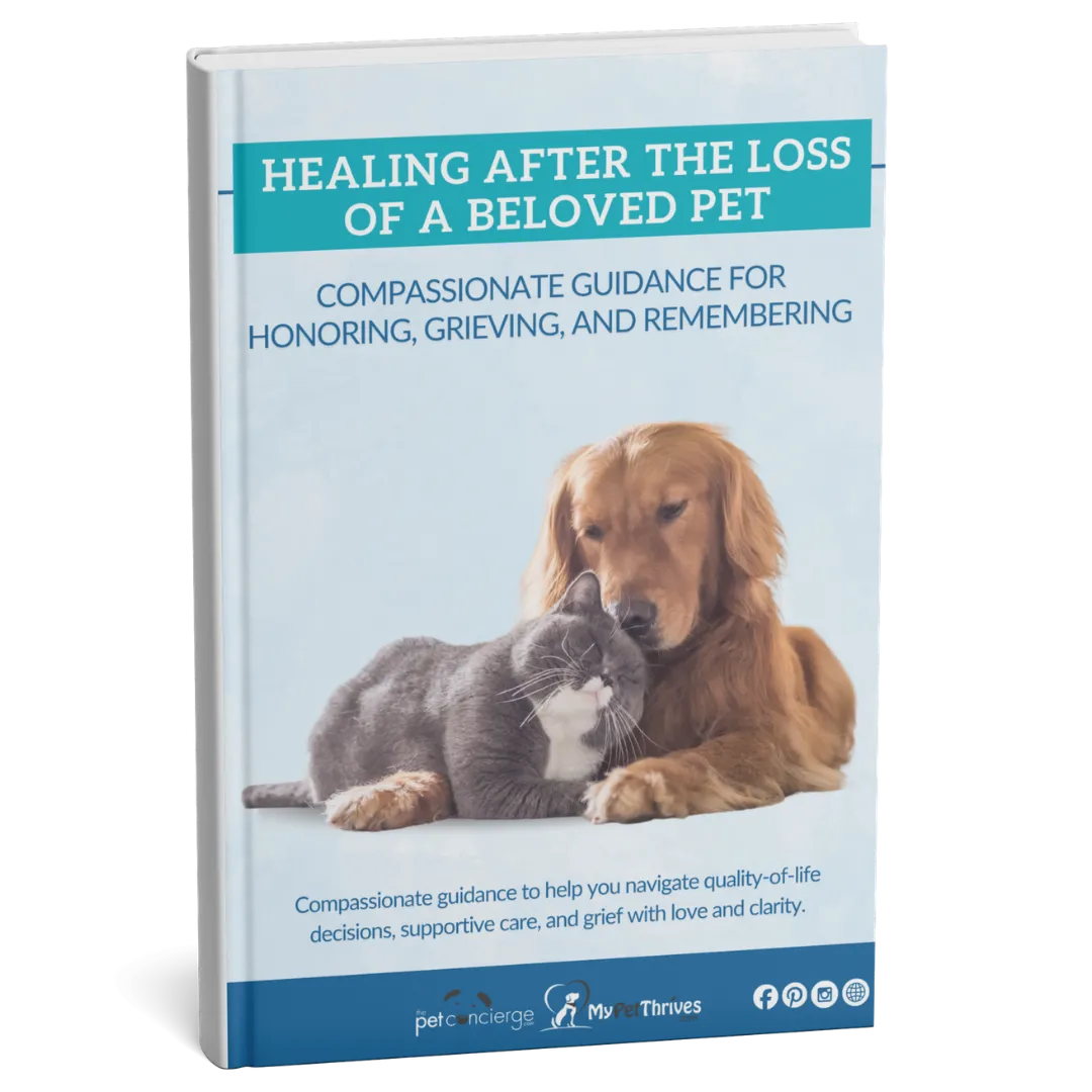 Healing After the Loss of a Beloved Pet: A Gentle Guide Through Grief