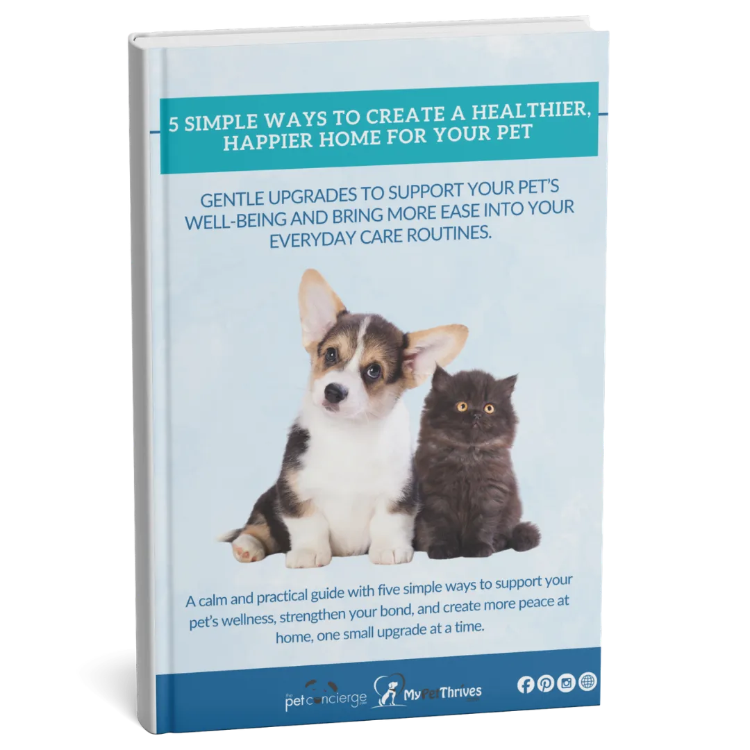 5 Simple Ways to Create a Healthier, Happier Home for Your Pet