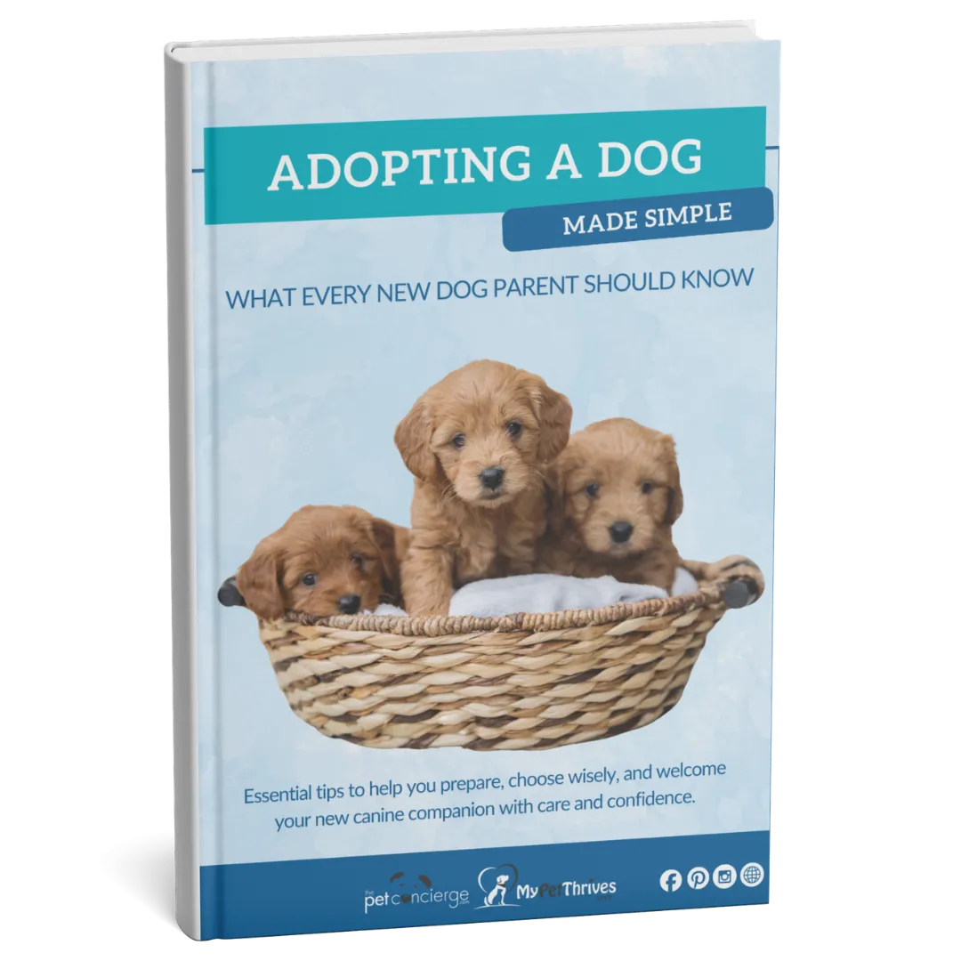 Adopting a Dog Made Simple:  What Every New Dog Parent Should Know