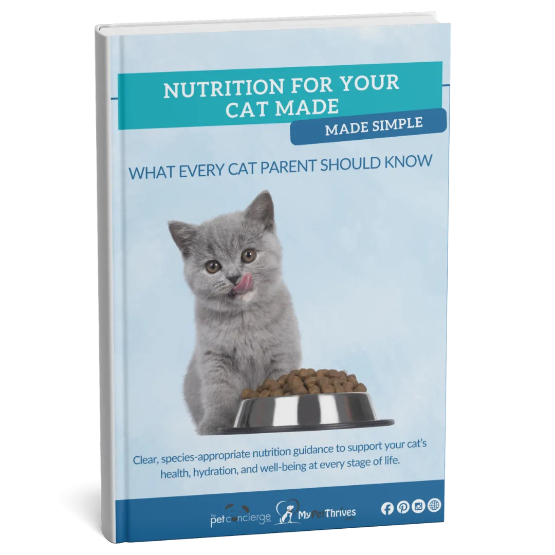 Nutrition for Your Cat Made Simple: What Every Cat Parent Should Know