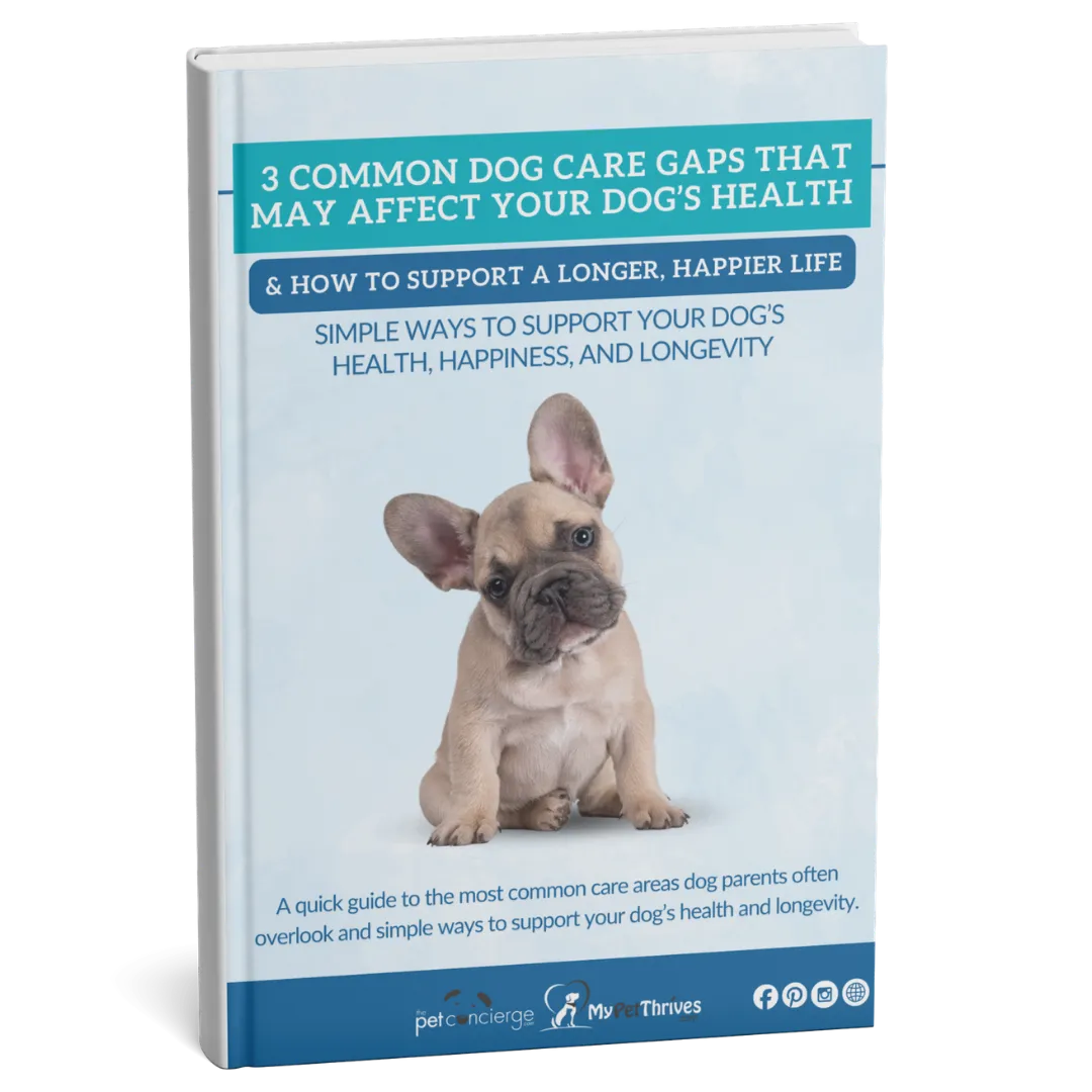 3 Common Dog Care Gaps That May Affect Your Dog’s Health and How to Support a Longer, Happier Life