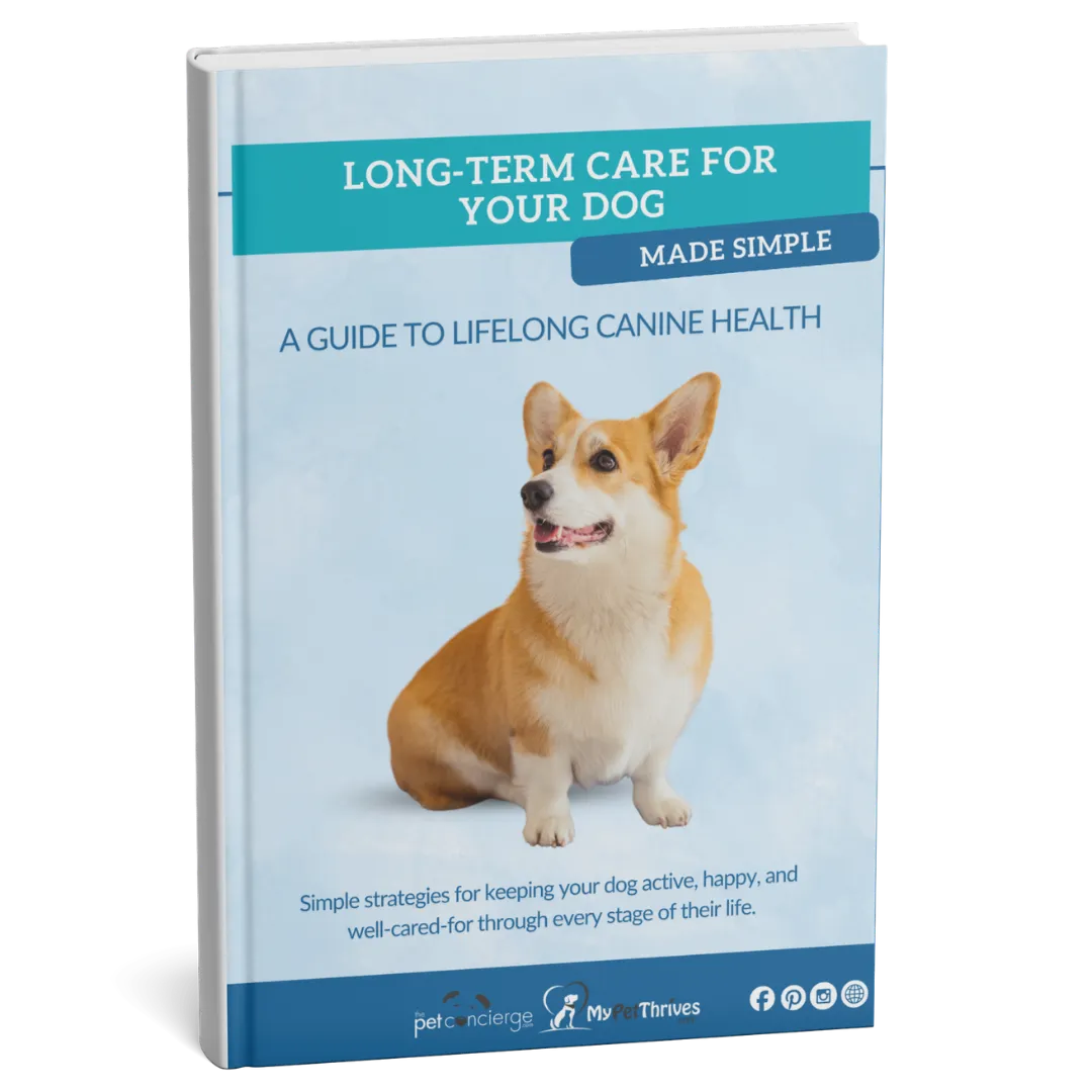 Long-Term Care for Your Dog Made Simple: A Guide to Lifelong Canine Health