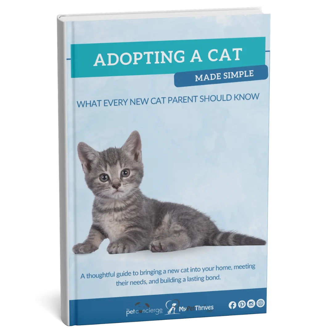 Adopting a Cat Made Simple: What Every New Cat Parent Should Know