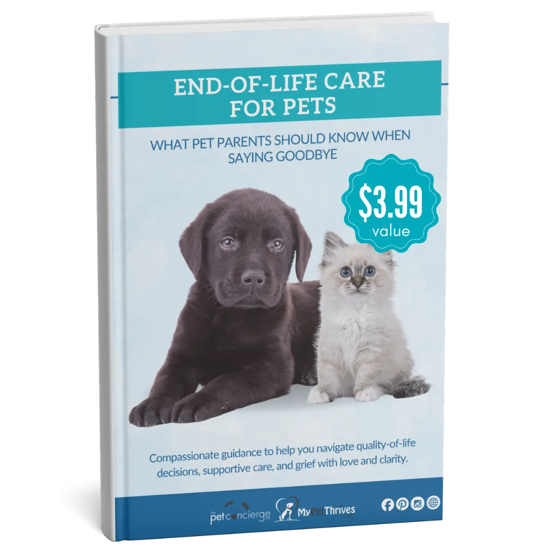 End-of-Life Care for Pets: What Pet Parents Should Know When Saying Goodbye