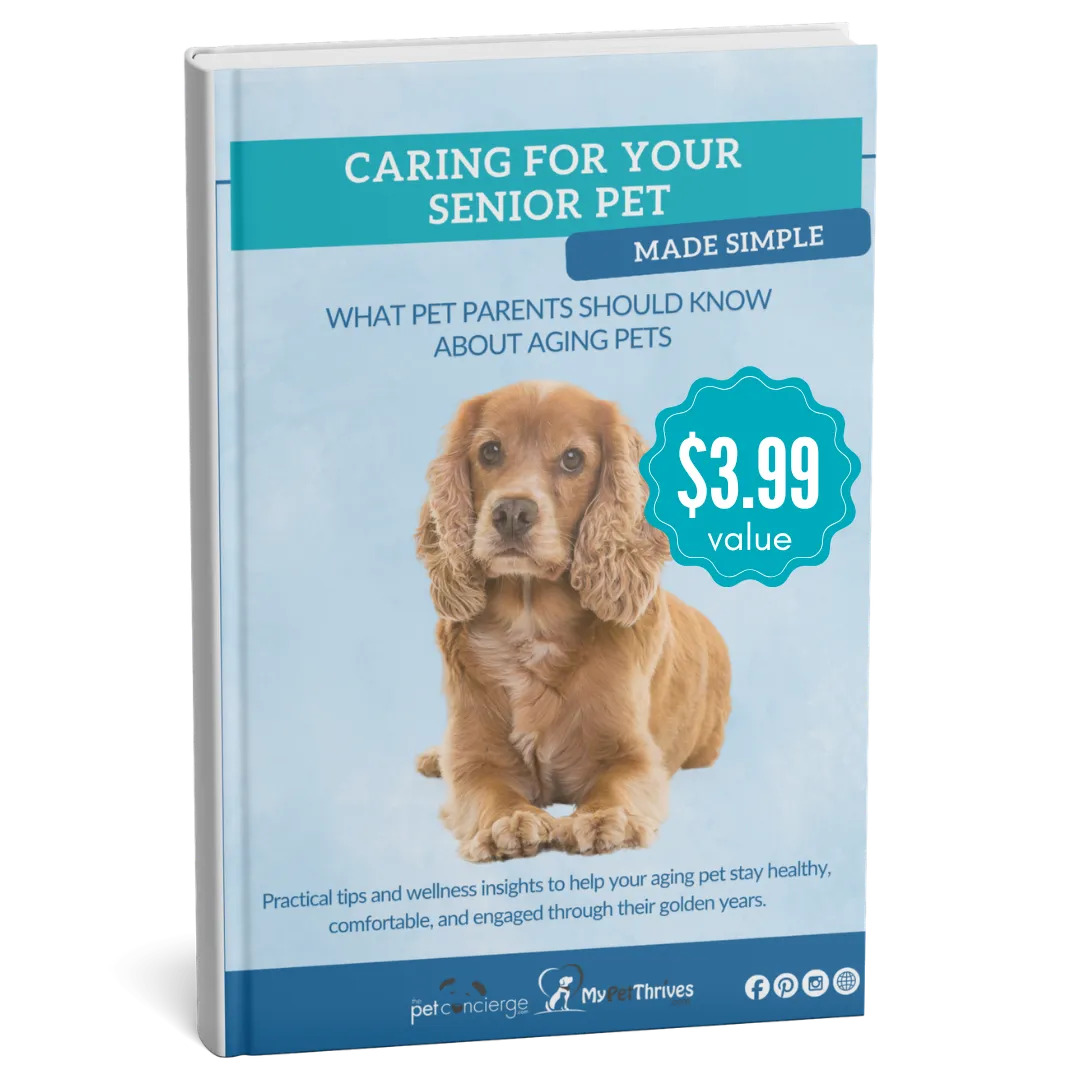 Caring for Your Senior Pet Made Simple: What Pet Parents Should Know About Aging Pets
