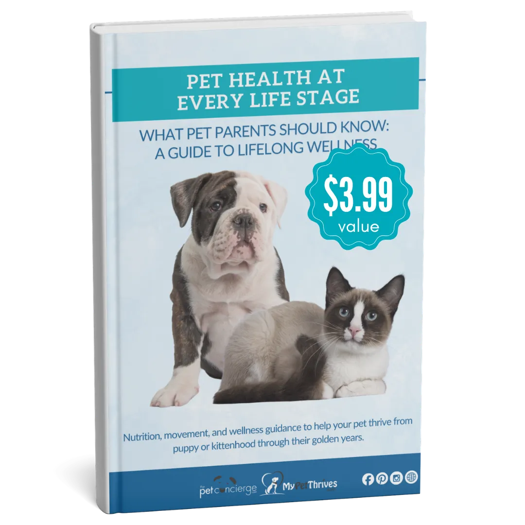 Pet Health at Every Life Stage: What Pet Parents Should Know