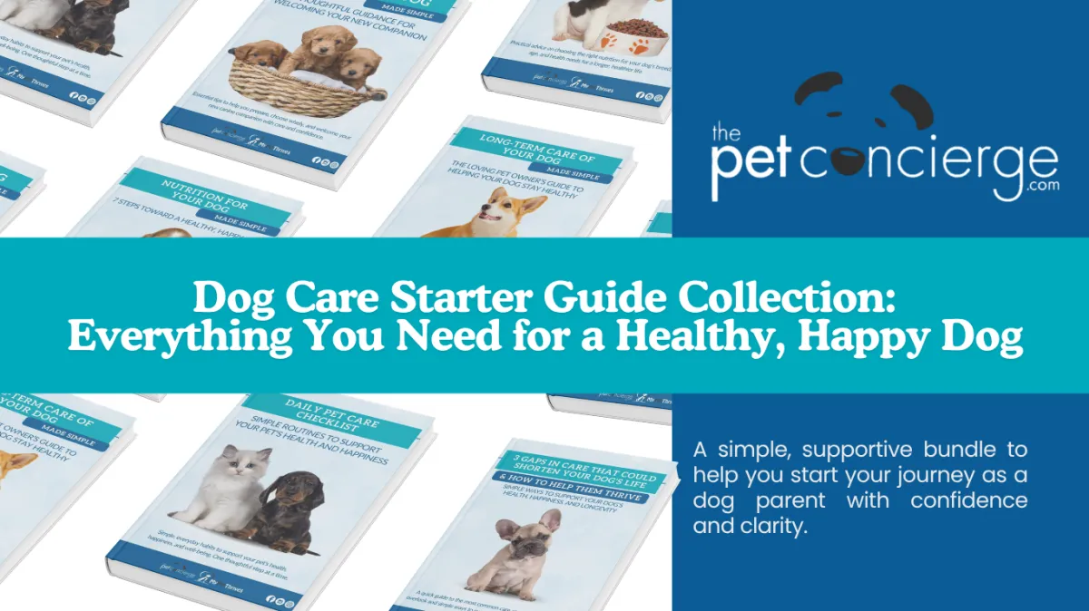 Dog Care Starter Guide Collection: Everything You Need for a Healthy, Happy Dog