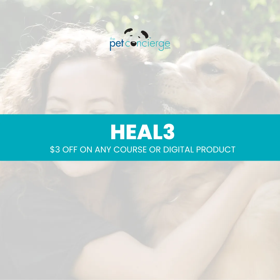 National Therapy Animal Day