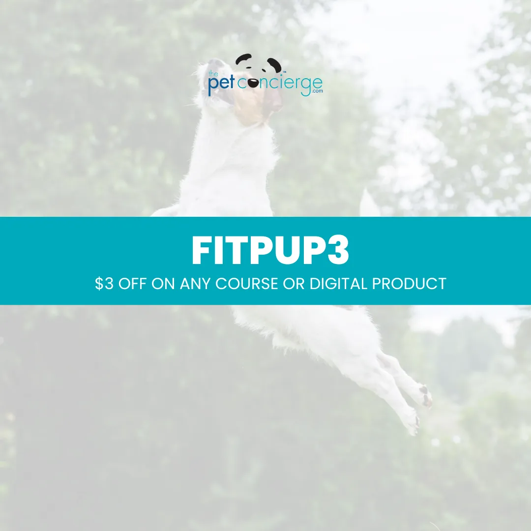 Canine Fitness Month