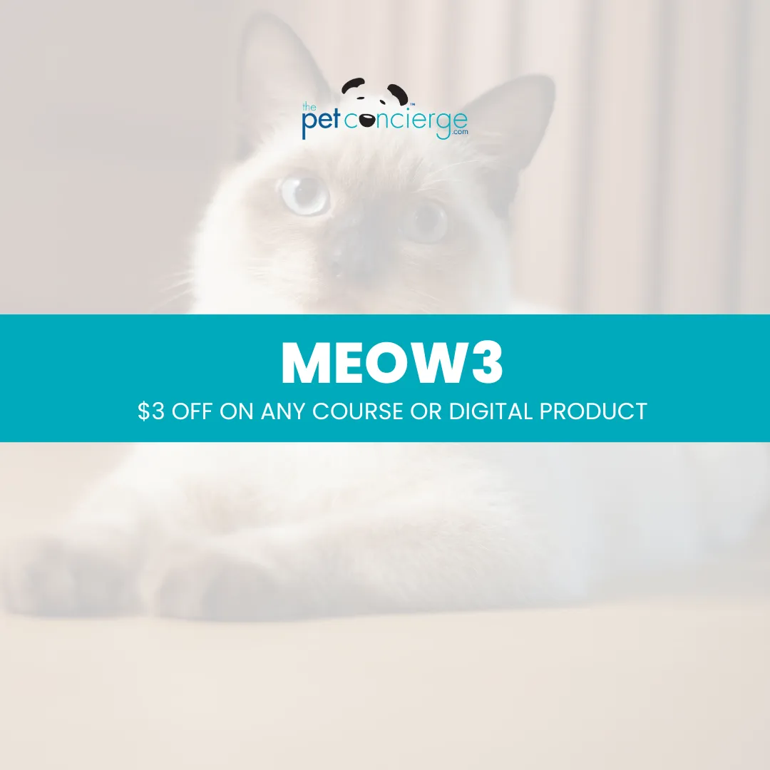 National Siamese Cat Day