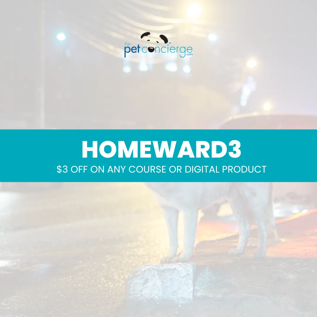 National Lost Dog Awareness Day