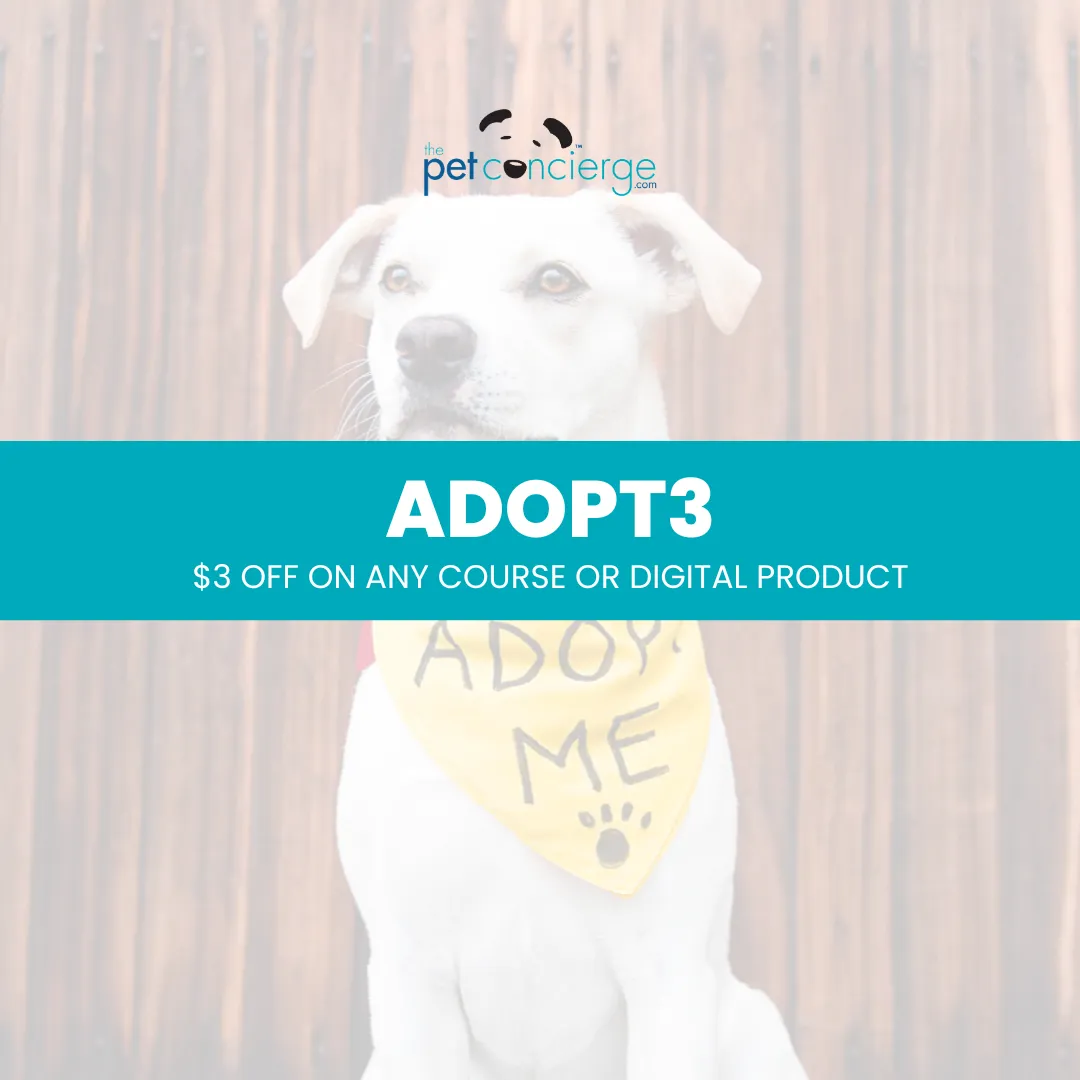 National Adopt a Shelter Pet Day